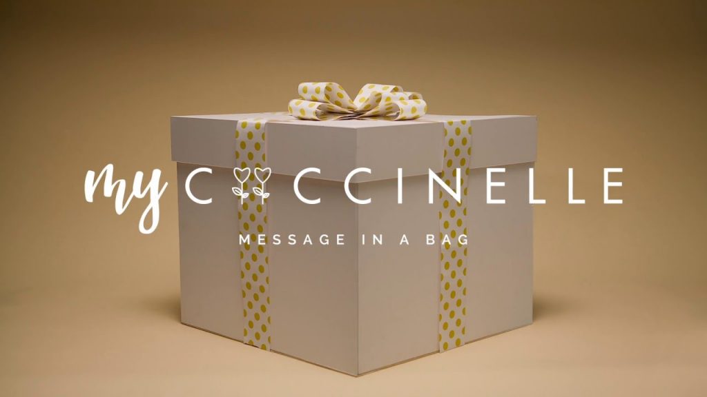 MY COCCINELLE: MESSAGE IN A BAG