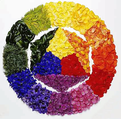 Come abbinare i colori cerchio-cromatico-fiori