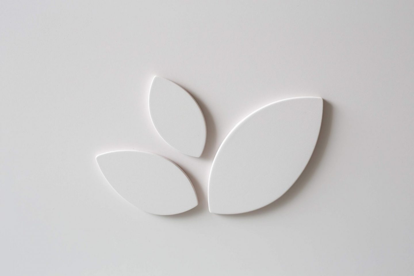 Logo Trucioli e Coccole